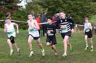 Under-15 boys, National Cross Country Relays, Berry Hill Park, Mansfield. Photo: David T. Hewitson/Sports for All Pics